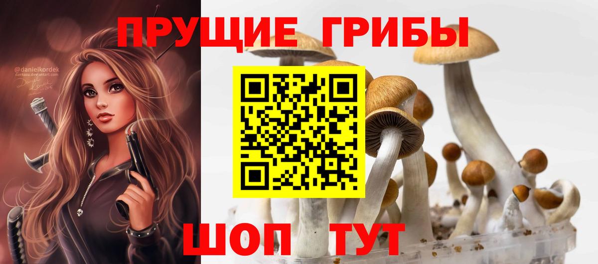 Вятские Поляны  Галлюциногенные грибы Cubensis  Вход с VPN 